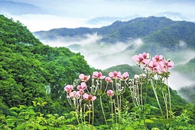 河南省7家国有景区门票降价