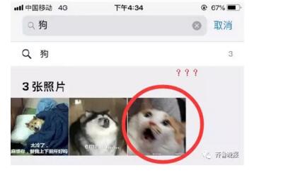 升级iPhone新系统,打开相册瞬内懵子三七互娱:太魔性--