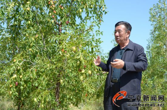 王有德:生命不息 治沙不止 王有德:生命不息 治沙不止
