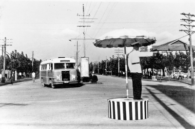 鹤壁:花园新城熠熠闪光