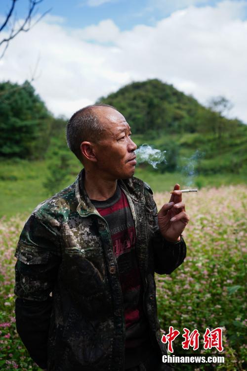 贵州大方大山里的割漆人