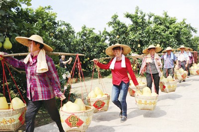 致敬，中國女農民！