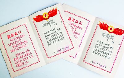人口婚姻证_人口普查证(2)