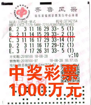 2851843088489676237.jpg