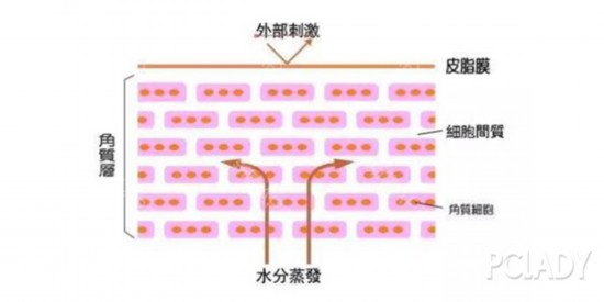 换季皮肤大作战,你准备好了吗?