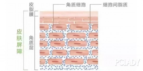 换季皮肤大作战,你准备好了吗?