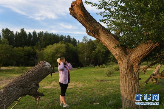 50,41,32······数字背后的故事触动了很