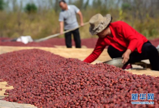枣人口组发 2019 6_3.番茄切小块,投入锅中. 4.炒至番茄变软. 5.将牛肉
