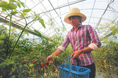 漳州掀起农业农村投资新高潮:企业要富 百姓利