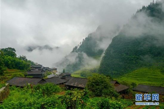 （走基層 聽民聲·圖文互動）（3）扶貧干部武陵山中“賣”鄉愁