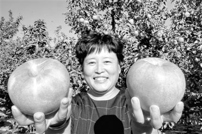 果樹(shù)滿坡 農(nóng)家富