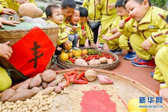 #(社会)(2)金秋娃娃乐丰收