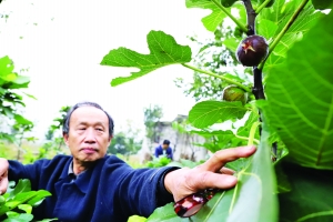 抓住三变关键 打造改革样本