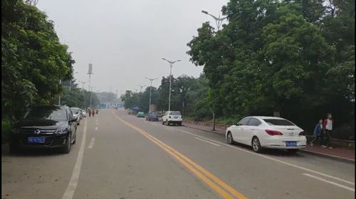 泸州:张坝景区禁止私家车进入为何却有例外?