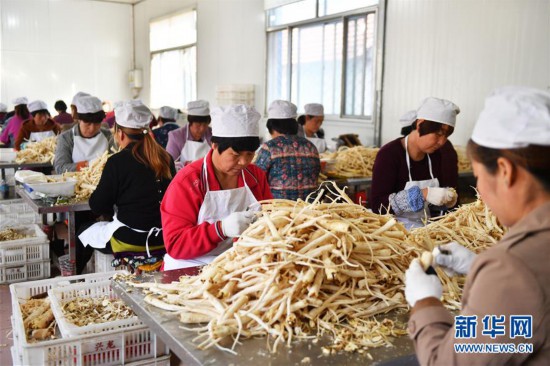 #（经济）（1）发挥桔梗产业优势 助力脱贫攻坚