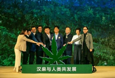 中国原创的汉麻产业成雅戈尔发力新市场