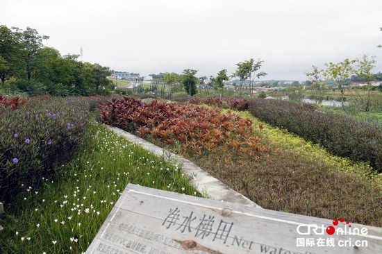 圖片默認標題_fororder_2、那考河濕地公園