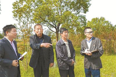 "青苗费"咋成干部"吃喝"款