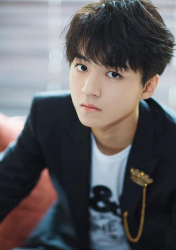 个人独资!王俊凯成立影视工作室变霸道总裁