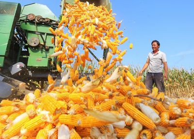 中原粮仓:从保饭碗到兴厨房