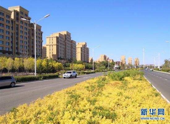 白城市市区人口_白城市医院图片(3)