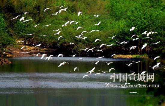 探析“网红”线路背后:“皖南川藏线”为什么这样“火”