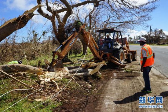 �����ʣ���8���ֺ�����