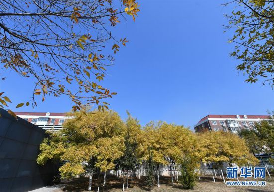 (图文互动)(1)天津:重污染天数控制在10天以内