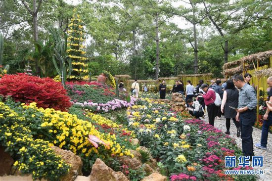 ����ᣩ��1�������������չϲӭ�˷��ο�