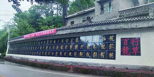 “行草百龙”书法艺术墙全长36米、高5米，108个“龙”字分成三行整齐排列_副本