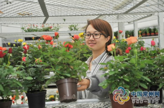 常州90后女孩开网店 盆栽销量淘宝单店第1名