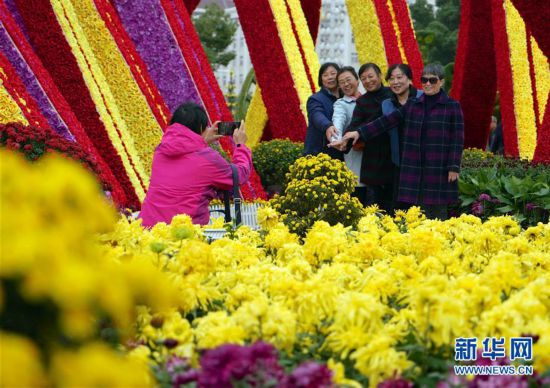 （社会）（2）江西南昌：菊花绽放迎客来