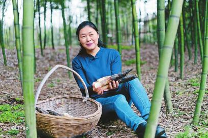 对话中国农家乐发源地农科村和文创立村的乡村新地标明月村