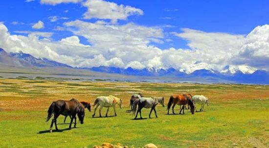 除了大海,日喀则可以满足你所有的想象.