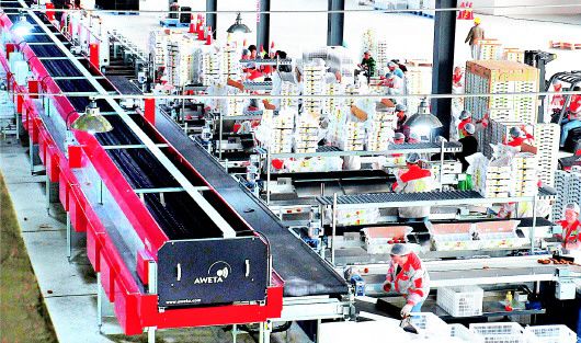 专班制打通经络 八要素织牢链网