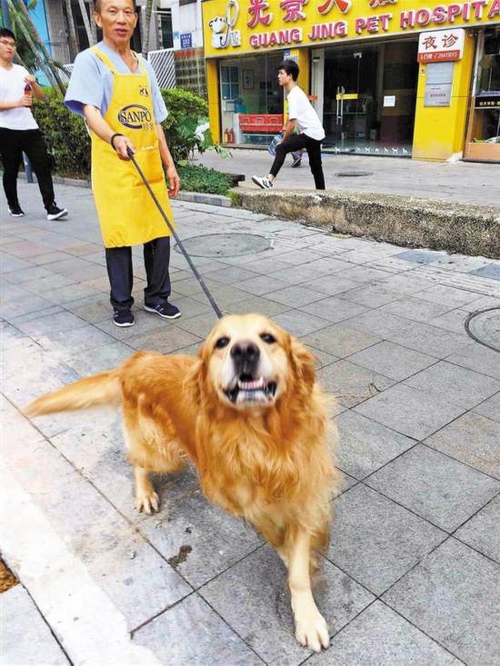 市民最反感十大不文明养犬行为有哪些?