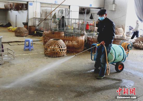 江苏扬州江都区发生家禽H5N6亚型高致病性禽