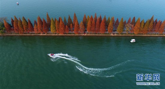 (美丽中国)(3)层林染翠湖