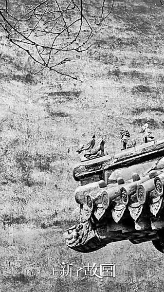 文化气质悦目又润心综艺节目有意思也有意义了