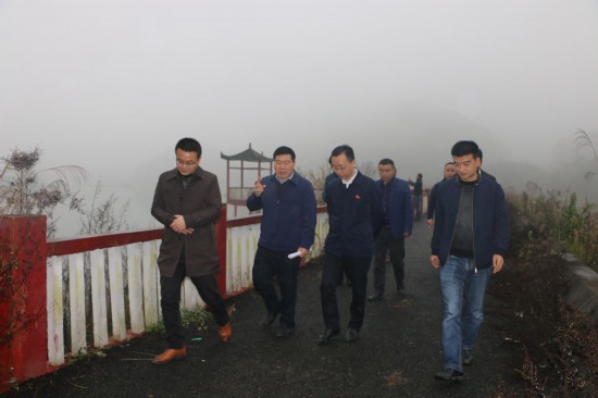 凤冈县委副书记,县长马华到绥阳镇调研指导当前工作