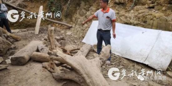 云南昭通大关人口犯卖_...云南打掉特大拐卖儿童团伙 拐卖儿童 公益频道 中华