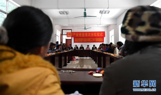 广西大化共和乡各村人口_共和乡古桥村图片