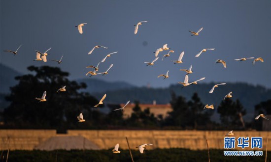 ����������6�����ء��豱����