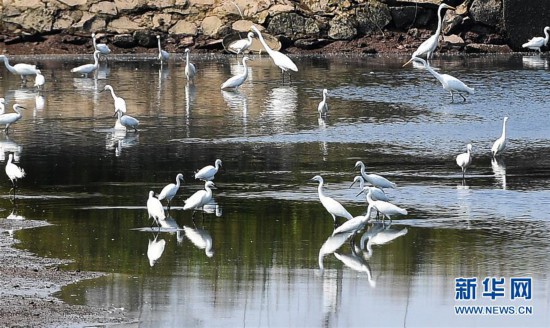 ����������5�����ء��豱����