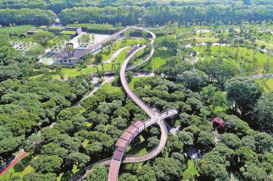深圳公园排名_深圳湾公园