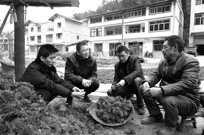 石柱沙子人口_手握沙子的图片(2)