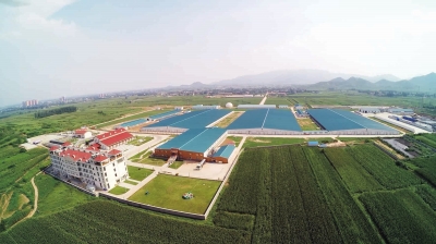 河北省石家庄市以园区建设引领农业高质量发展
