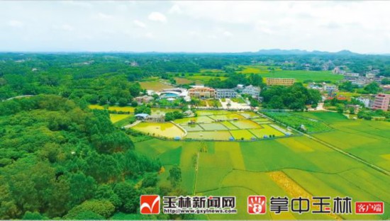 绿水青山铺就旅游发展"底色"     "福祉延绵,生态休闲",玉林市福绵区