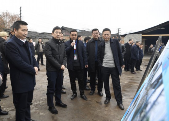 魏树旺在全市土地违法违规(湿地公园)整改、环