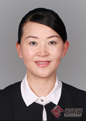 历任梁河县委常委,宣传部长,梁河县委副书记,德宏州委党校党委书记